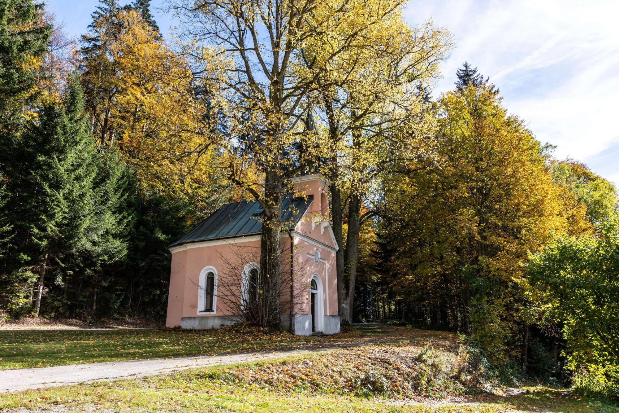 Forsthaus Apartments - Ski + Bike & Hike คลาฟเฟอร์ อัม โฮคฟิทต์ ภายนอก รูปภาพ