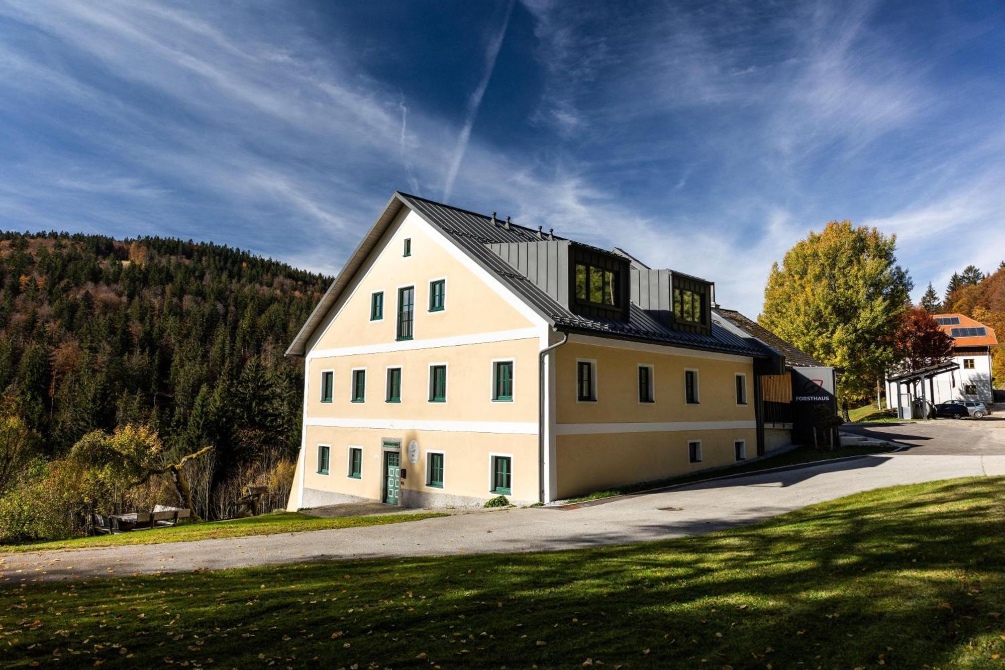 Forsthaus Apartments - Ski + Bike & Hike คลาฟเฟอร์ อัม โฮคฟิทต์ ภายนอก รูปภาพ