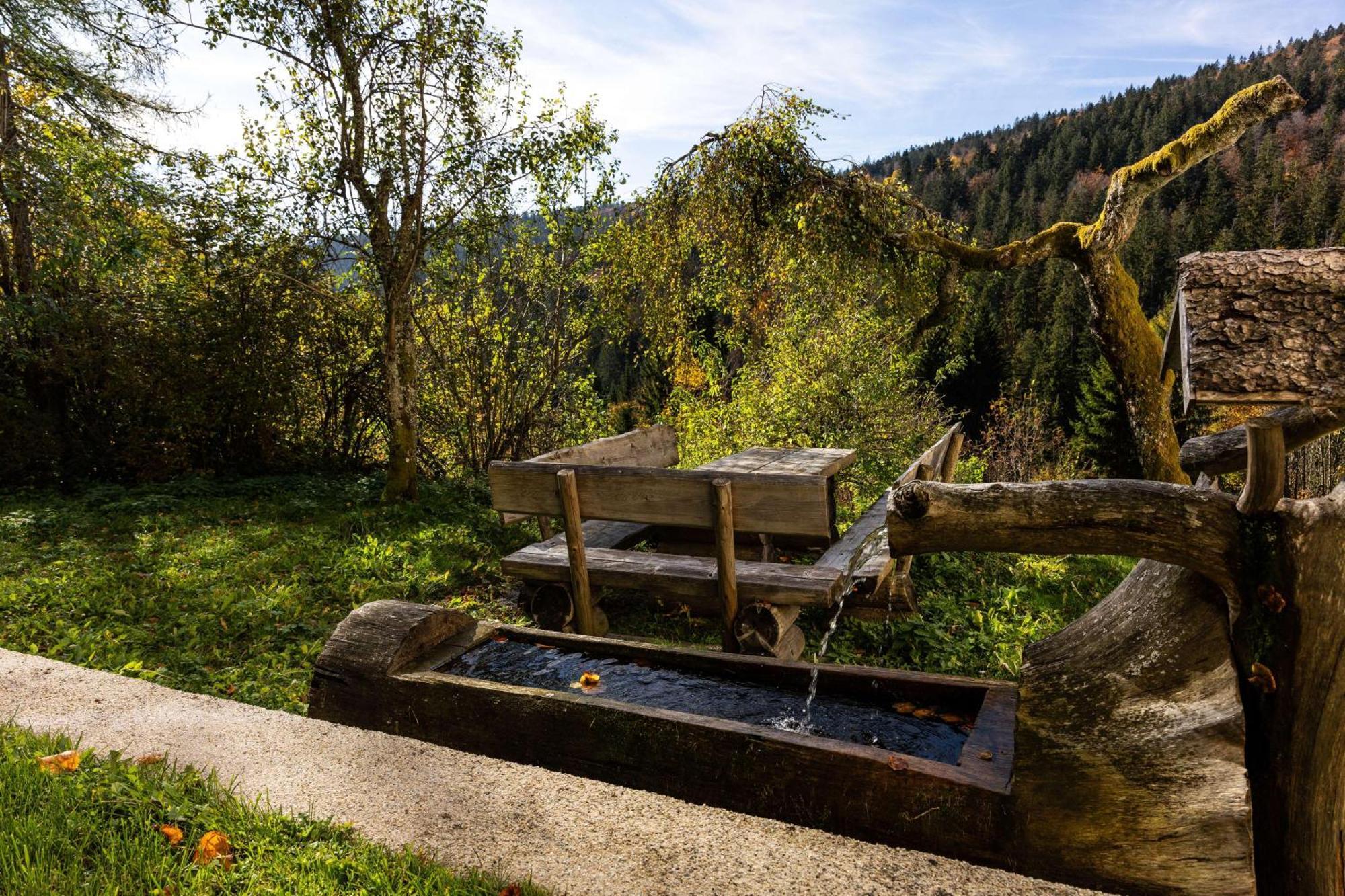 Forsthaus Apartments - Ski + Bike & Hike คลาฟเฟอร์ อัม โฮคฟิทต์ ภายนอก รูปภาพ